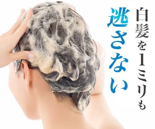 白髪を1ミリも逃さない
