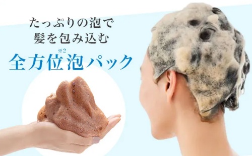 泡パック（LPLP essence カラーシャンプー）